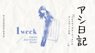 assistant_essay
